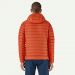 Patagonia M`s Down Sweater Hoody - PLNO