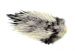 Whiting Brahma Rooster Saddle