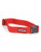 Simms Wading Belt - 2" Simms Orange