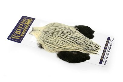 Whiting American Rooster Cape 