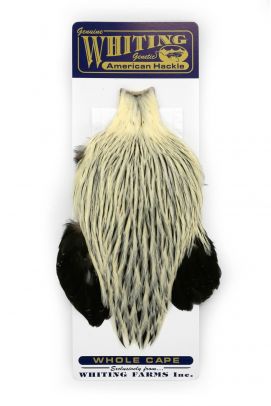 Whiting American Rooster Cape 