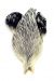 Whiting Brahma Rooster Cape 