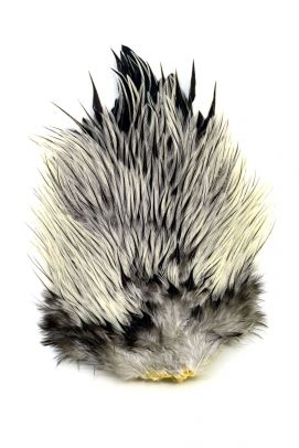 Whiting Brahma Rooster Saddle