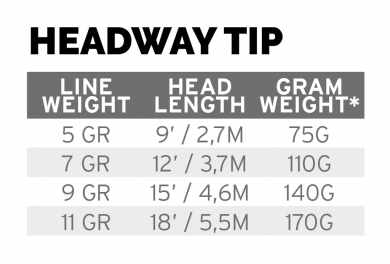 Scientific Anglers Headway Tip 15`4,6m