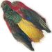 Veniard Golden Pheasant Body Skin