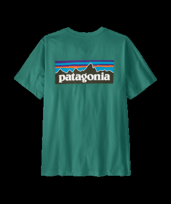 Patagonia M`s P-6 Logo T-Shirt - GEMG