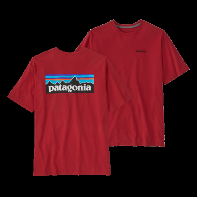 Patagonia M`s P-6 Logo Responsibili-Tee - TGRD